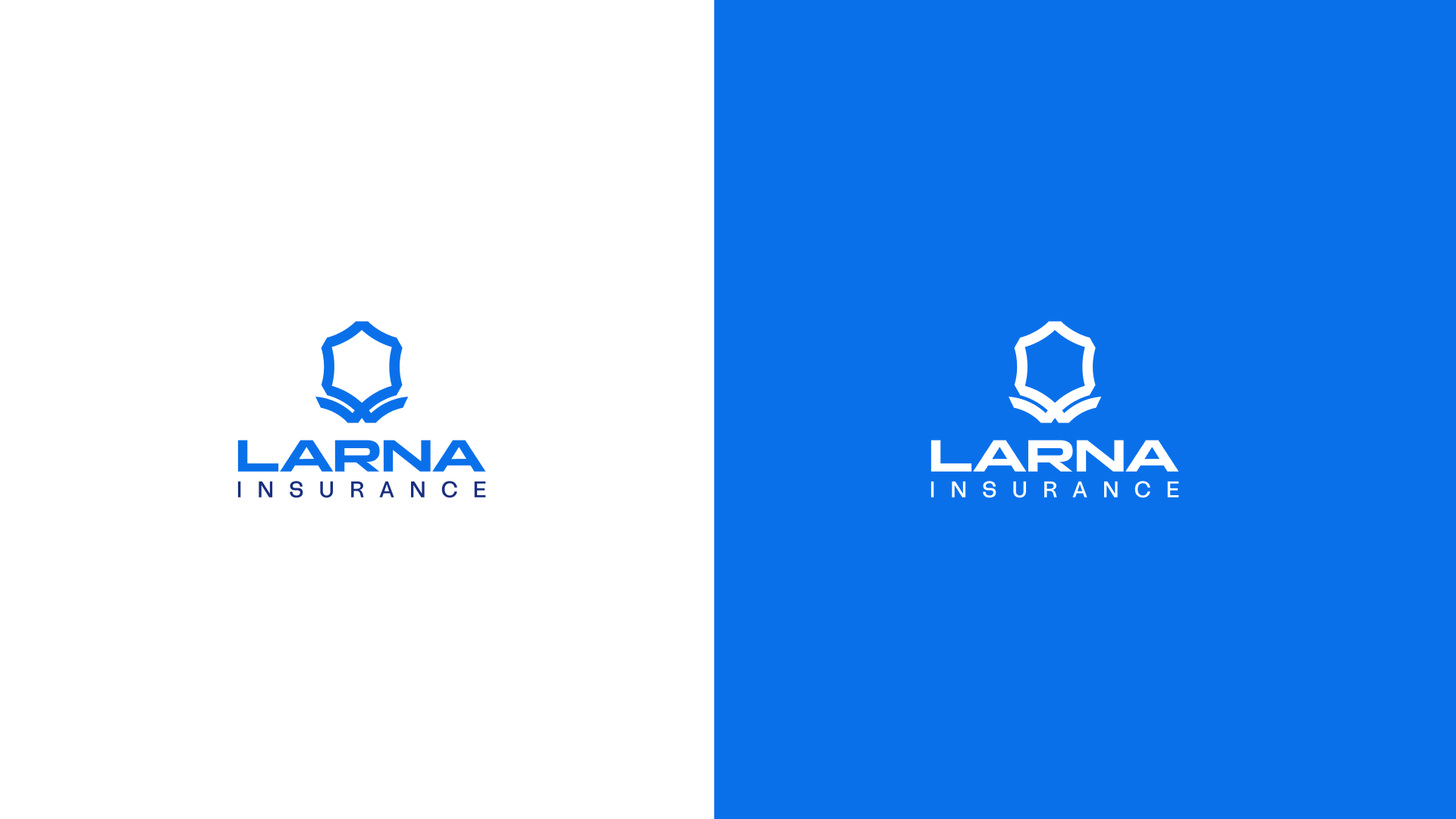Larna Insurance 2